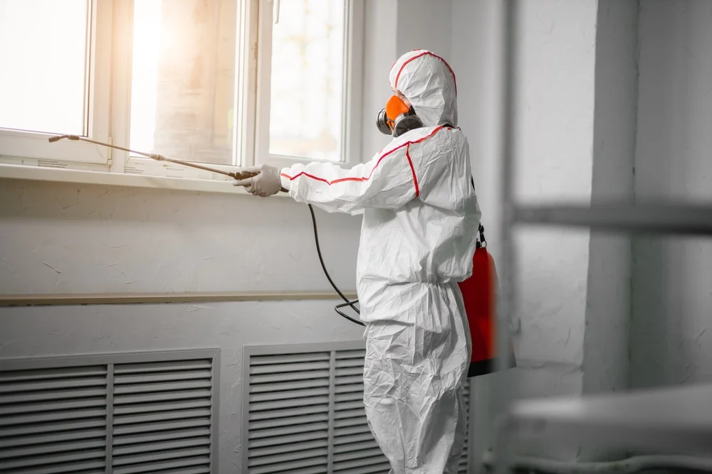 Professional mold remediation services in Leakey, TX